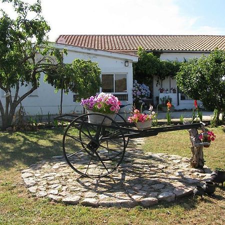 El Condado Casa Rural Фуэнтес-де-Оньоро Экстерьер фото